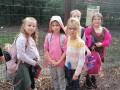 IMG_20210928_121240