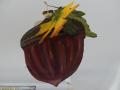 DSC00352