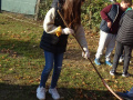 batch_DSC05448