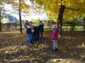batch_DSC05460