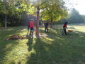batch_DSC05465