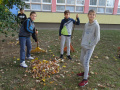 batch_DSC05470