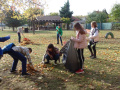 batch_DSC05474