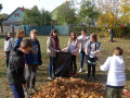 batch_DSC05482