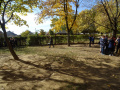 batch_DSC05494