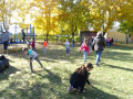 batch_DSC05502