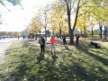 batch_DSC05506