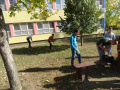 batch_DSC05507