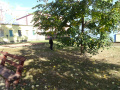 batch_DSC05511
