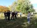 batch_DSC05523