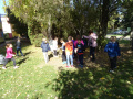 batch_DSC05524