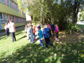 batch_DSC05527