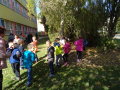 batch_DSC05528