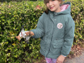 Messenger_creation_1E5D2507-010C-496F-883B-3D0D8B26C717