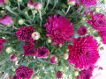 DSC00297