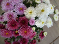 DSC00298