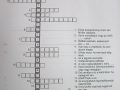 DSCF0184.JPG