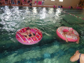 DSC02504